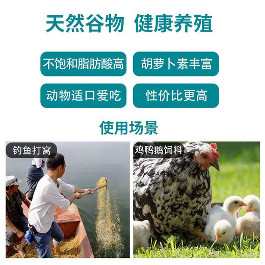Multigrain grains for chickens, chicken feed corn, corn stubble, corn slurry, chicken feeding, chicken fishing, nesting, ducks and geese, chicken feed corn crush 20Jin Jin is equal to 0.5 kilograms
