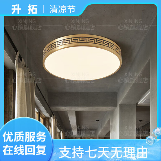 心镜全铜吸顶灯别墅入户灯室外防水阳台灯庭院过道走廊超薄防蚊虫顶灯 X3891-300/圆形