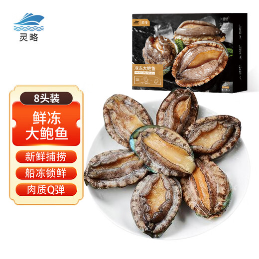 Linglue Fujian fresh frozen large abalone, net weight 400g, 8 pieces box, abalone hot pot barbecue, shellfish and seafood, fresh