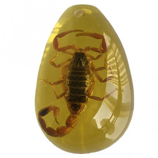 DL 1998 Fat Donglai same model luminous amber real insect specimens children's excavation archaeological blind box pendant accessories resin accessories luminous scorpion 50mm 20-
