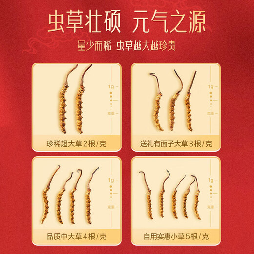 Beijing Tongrentang for use in the inner court, Cordyceps sinensis 1-3 roots/g 10 grams Cordyceps gift box tonic nutritional supplements for parents