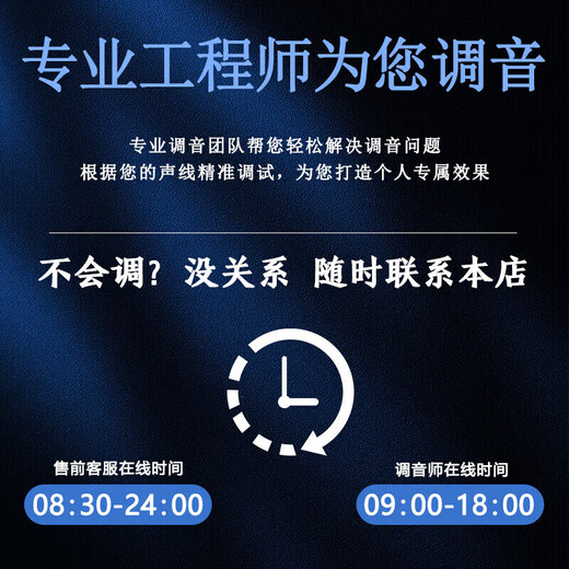 JBLKEM3100LE Heimkino-KTV-Audioset, Heim-Karaoke-Maschine, All-in-One-Karaoke-Box, komplette Ausstattung, 10-Zoll-Profi-Lautsprecher, 2 Lautsprecher, 10-Zoll-Entertainment-Modell 2.1