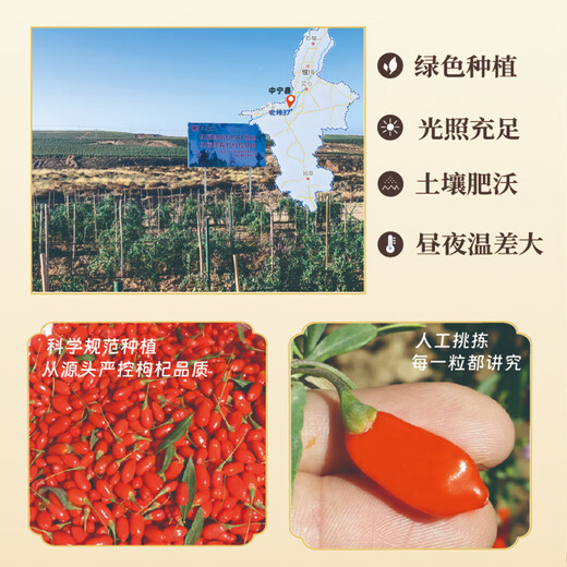 Red Wolfberry, Ningxia Neue Produkte, Nichtraucher Schwefel Zhongning Erster getrockneter Wolfberry-Obst-Geschenkbox Authentische große Getreide, Tee und Gesundheit, spezielle rote Wolfbeere, mittelgroße Obst 10G*1 Tasche