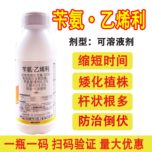 30% benzylamine ethephon special chlormequat for corn to control the growth and increase the yield, anti-lodging growth regulator pesticide, corn control and growth 250g*1 bottle