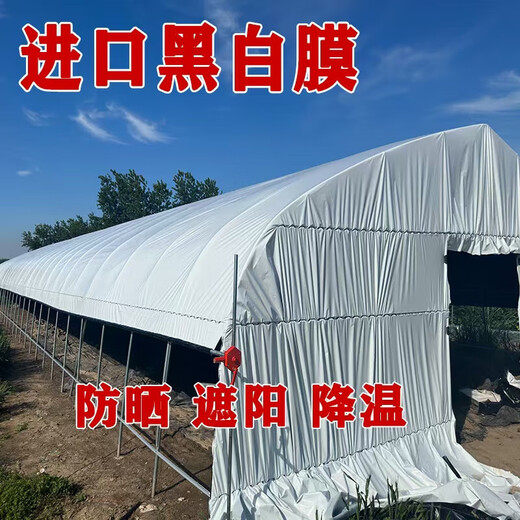 Greenhouse plastic film, non-drip film, agricultural greenhouse film, PO film, vegetable planting, anti-fog, high light transmittance, anti-aging, longevity film, blue film 12S imported longevity film, extra thick, 6m wide, how many meters long, take a few pieces, send the whole picture