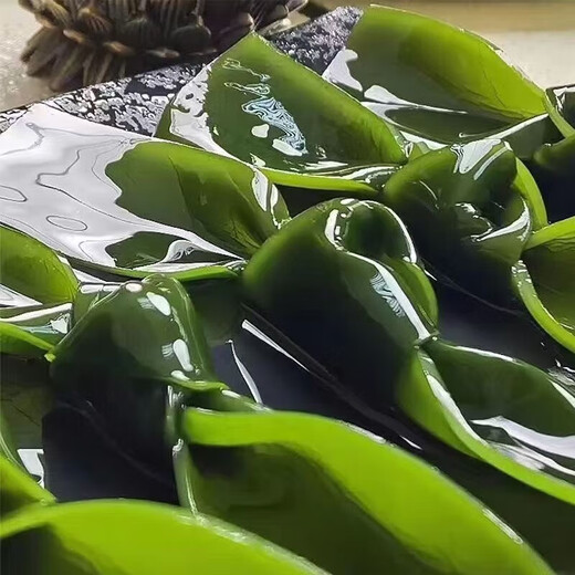 Gesalzene Seetangknoten, gesalzene halbgetrocknete Seetangknoten, Hot-Pot-Zutaten, kalte Gerichte, Meeresfrüchte, gesalzene Seetangknoten 1 kg