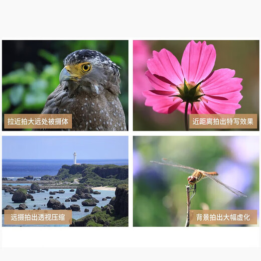 Canon RF-S 55-210mm F5-7.1 IS STM half-frame mirrorless zoom lens telephoto anti-shake mid-telephoto RF-S 55-210mm