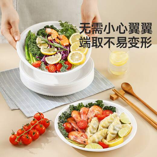 Meliya disposable plate large food grade 23cm*30 camping picnic fruit barbecue cake plate