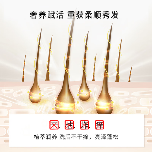 Tongrentang Black Ganoderma He Shouwu Shampoo Plant Nourishing Root Maintenance Scalp Black Hair Black Shampoo 550ml