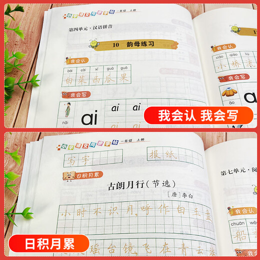 
Primary school Chinese synchronous copybooks Volume 2 of the first grade. Synchronous textbook practice copybook special training for writing copybooks. Practice brush control training. Applicable to the use of the People's Education Press textbooks. Standardized fonts for elementary school students. Daily training Guangping Sichuan Education Press. 9787540**4856