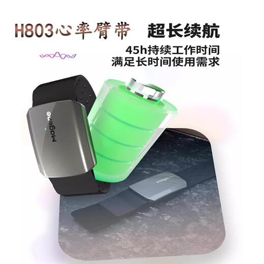 迈金山地公路自行车踏频器S314骑行跑步运动H303心率带双模传感器 H803心率臂带+S3+