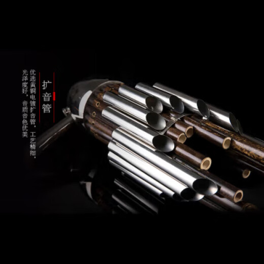 时笙笙乐器 紫竹圆笙17簧14簧扩音笙表演考级练习笙黄铜电镀笙管 芦笙全黑14簧笙(D调)