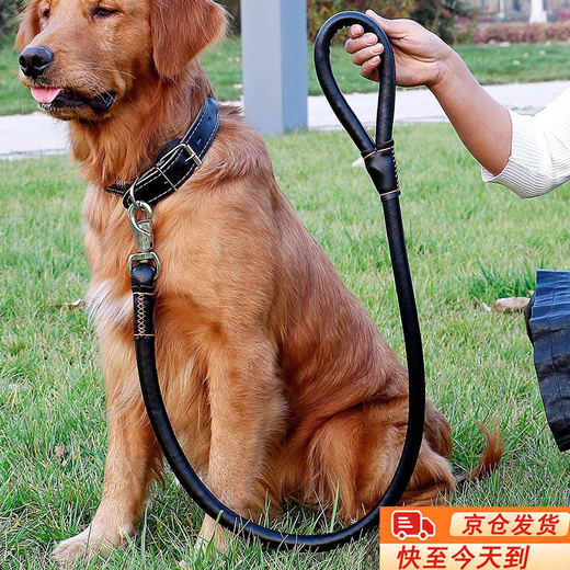 Huaneng Dog Rope Large Dog Labrador Golden Retriever Dog Walking Rope Collar Set Medium Dog Leash Black L (40-70Jin Jin is equal to about 0.5 kg)