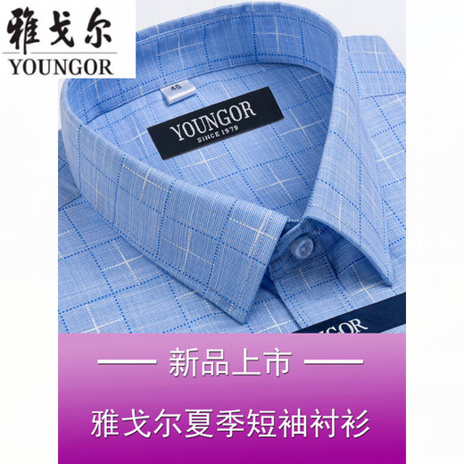 雅戈尔衬衫男短袖夏季2025薄款中年男装寸衫职业休闲衬衣透气 短袖DX6630 38 建议【70-95斤】