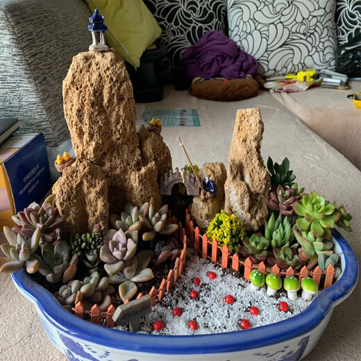 Absorbent stone raw stone wool on water stone natural rockery bonsai rockery stone landscaping stone micro landscape ornaments with stone absorbent stone raw stone 40-55CM 80Jin Jin is equal to 0.5 kg