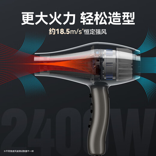 Fire Phoenix Hair Dryer 6600X, high power 2400W for hair salons, high wind power, low noise, home constant temperature hair care, no hair damage, professional hair dryer for barber shops, home appliances 6600H+ titanium gray (four-speed wind)
