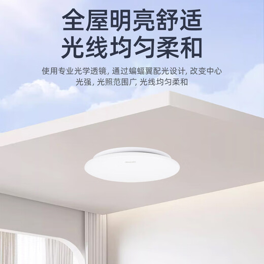 Philips (PHILIPS) ceiling lamp wick LED lamp plate magnetic modification long strip light panel strip light source module 20W white light - 2 pieces diameter 500mm