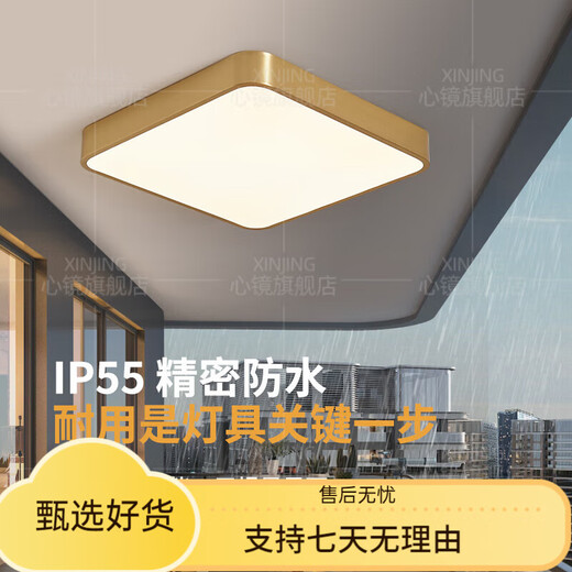 溥覃全铜户外吸顶灯别墅超薄入户门灯走廊过道阳台灯露台防蚊虫庭院灯 X3893-300/方形