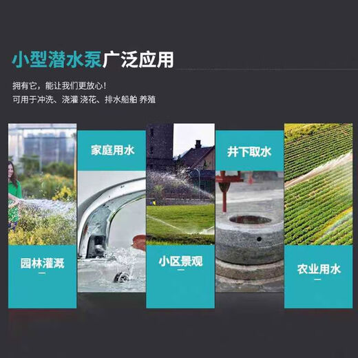 BEYZK直流深井潜水泵家用井水电瓶电动车12v48v72v伏高扬程深水井水泵 1272V 10叶4872v3200w25线30水带礼包