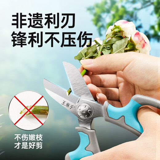 Wang Mazi floral scissors, pruning shears, gardening scissors, fruit tree potted flowers, flower branch scissors, professional floral scissors