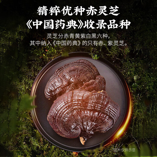 Lei Yunshang Ganoderma Lucidum Espora en polvo Red Ganoderma Lucidum Material auténtico Ganoderma Lucidum Triterpenos para reponer el Qi y calmar la mente, fortalezca el bazo y los pulmones, se recupere después de la cirugía [pago de bienestar hasta el 25 de diciembre] 100 bolsas * comprar 1 gratis 1 1
