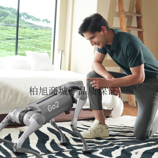 Yushu (Unitree) Voice AI big model robot dog electronic dog embossed intelligence accompanying bionic companion robot four-legged robot dog spot Go2-AIR