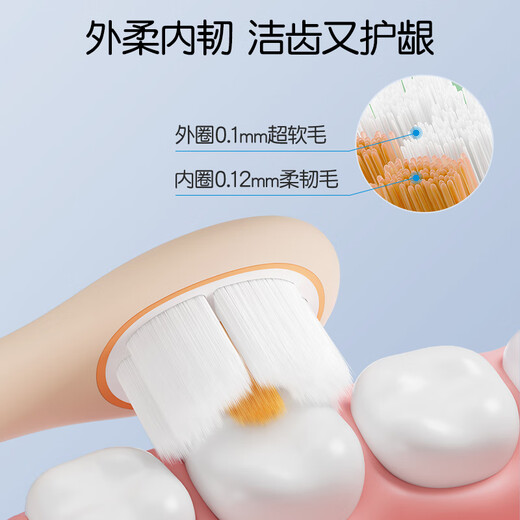 Dinosaur Doctor (ProteFix) Brosse à dents pour enfants 1-3-6 ans Brosse de dents de dents de bébé Brosse de dents de bébé brosse à dents de 1 à 2 ans Brosse à dents bébé
