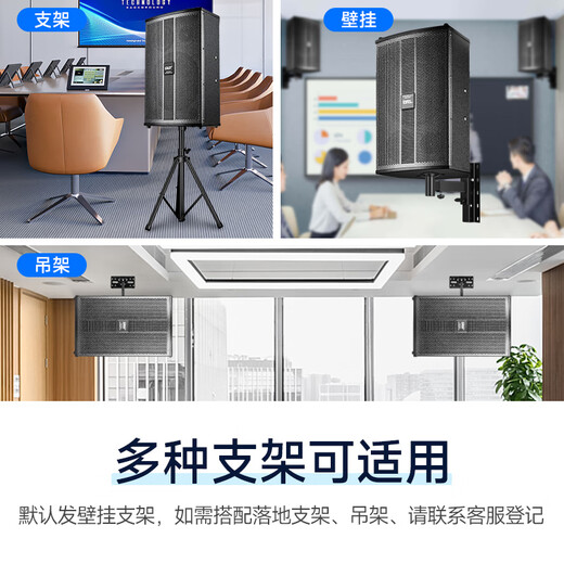 先科 会议室音响套装组合10英寸家庭KTV背景音乐培训会议专用设备蓝牙功放壁挂式音箱VD-201/K3V/M-19