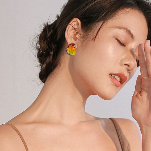 Qlady European and American exaggerated oil painting earrings women's earrings temperament fashion earrings 2025 new high-end niche silver needle earrings