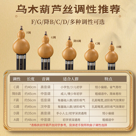 金孔雀乌木葫芦丝c调小学生专用初学者成年人降b调专业演奏级旗舰店乐器 【光面葫芦乌木音管】G调+赠品