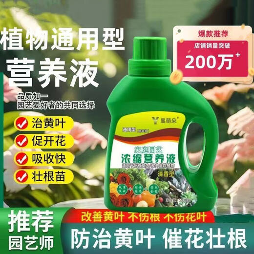 Nutrient solution plant universal flower fertilizer fortune tree rich bamboo green dill hydroponic potted household flower flower fertilizer universal nutrient solution 500g 3 bottles
