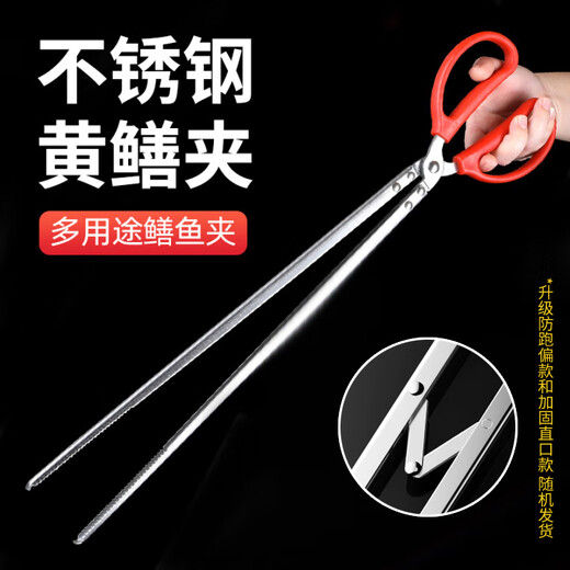 Zhenyou (Grsaed) eel clip stainless steel multi-functional non-slip loach clip crab clip 52cm straight head extended lobster claw to control fish