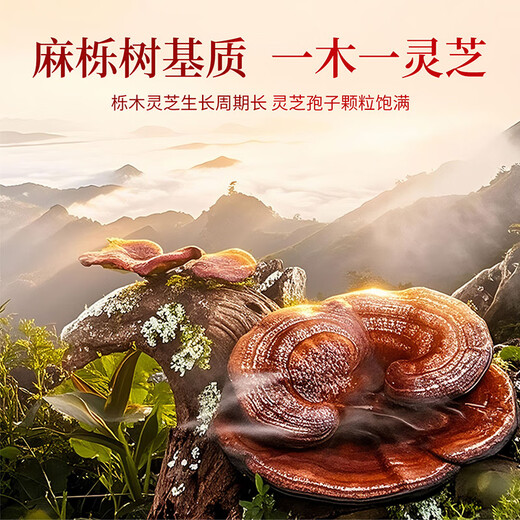 雷允上破壁灵芝孢子粉胶囊增强免疫力术后恢复送长辈礼盒装生日礼120粒