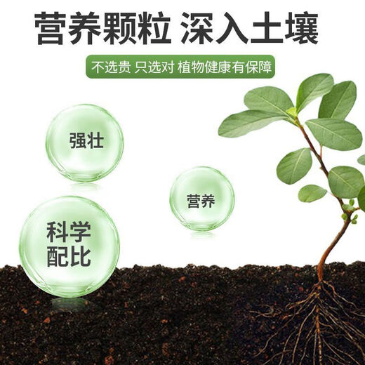 Smart Green Compound Fertilizer Universal Nitrogen Phosphorus Potassium Fertilizer Flower Vegetable Fruit Tree Agricultural Fertilizer Granular Fertilizer Medium Element Water-Soluble Fertilizer Universal Granular Fertilizer 5Jin Jin is equal to 0.5kg *1 barrel