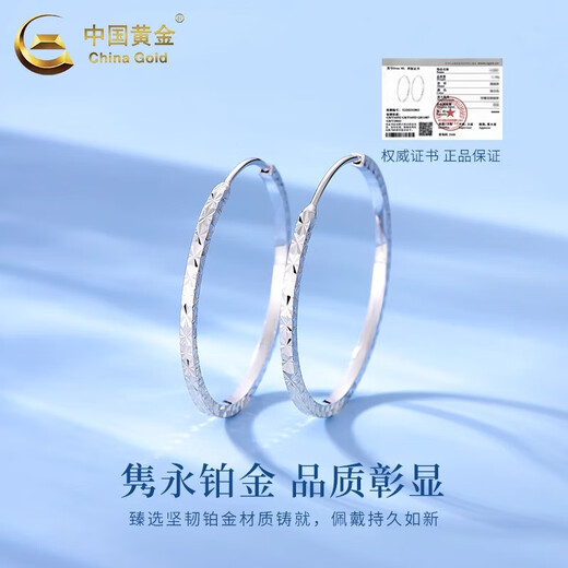CHINA GOLD PT950 platinum baby's breath large hoop earrings, high-end Valentine's Day birthday gift for girlfriend and wife, platinum baby's breath earrings, about 3.3g, selection gift box