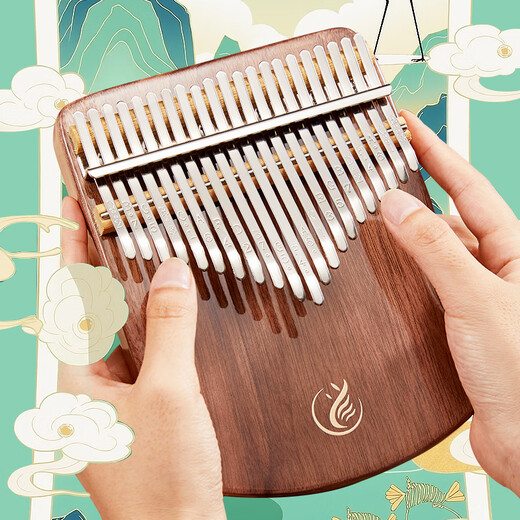 Assas Thumb Piano 21 Tone Kalyba Finger Piano Instrument de musique pour débutant adulte pour adultes naufuge noir