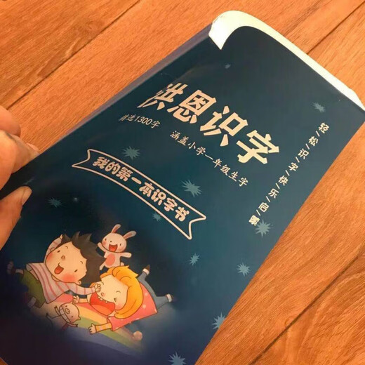 洪恩识字1300字1-5季 识字书 识字 绘本 识字卡片 洪恩识字第二季 洪恩识字第五季