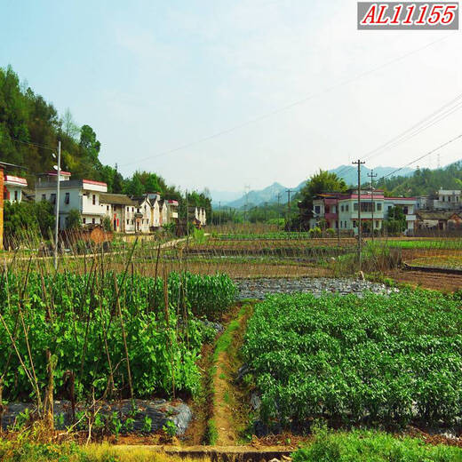 咏幻背景布林山水农村快手主播间视频装饰墙挂布 浅灰色 11153尺寸宽高 1.52m