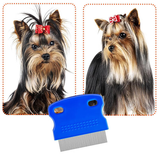 Pet lice comb, grate fine-toothed pet comb, pet supplies flea comb, fine-toothed cat floating hair comb, short flea comb YC04