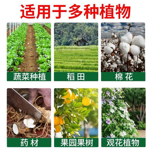 Trichoderma harzianum biological agent removes viral diseases, root rot, bacterial wilt, damping off, powdery mildew, gray mold 50 packs 30g/pack*50