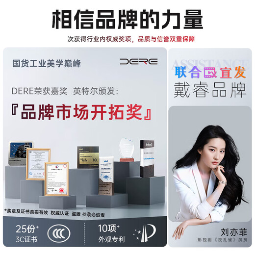 戴睿（dere）云翼系列 国家补贴笔记本电脑 15.6英寸高性能商务办公旗舰轻薄本 大学生游戏娱乐手提本 32G 2TB