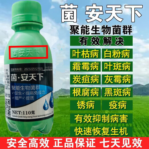 Jiumiantianxia microbial sugarcane special fungus pepper bacterial virus foliar fertilizer to increase fruit tree production Jiangantianxia/110g/ten bottles