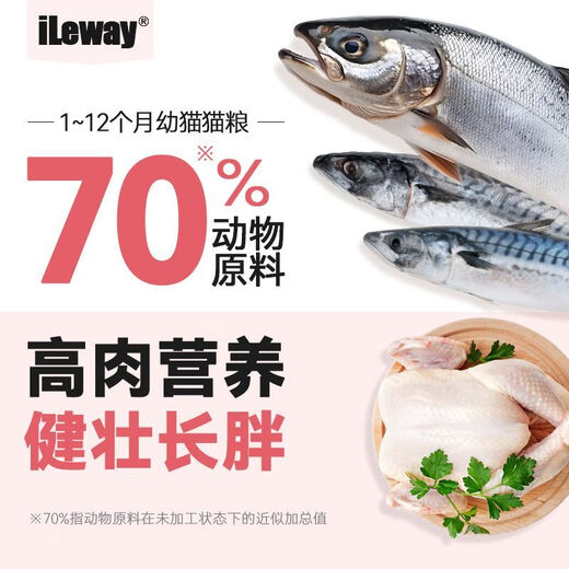 OIMG American iLeway kitten special food 1-12 months milk cake nutritious long meat full price universal cat staple food stage01 (stage 1) 1-4 months old 2lb (1.8Jin Jin equals 0.5kg) donut style