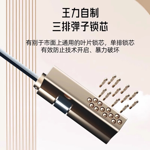 WL王力4级新款铸铝门防盗门甲级防夹手家用入户门进户门智能子母门单门大门A200 指静脉人脸带屏锁（P60Max） 单门2050*1050&2150*950