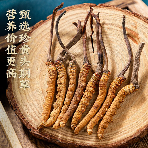 La caja de regalo de Cordyceps sinensis es genuina para los regalos de vacaciones para visitar a familiares para enviar a los padres y ancianos a los ancianos Día del Padre Bienes de Año Nuevo 20 Regalos de regalos para enviar a familiares para visitar regalos de alta gama