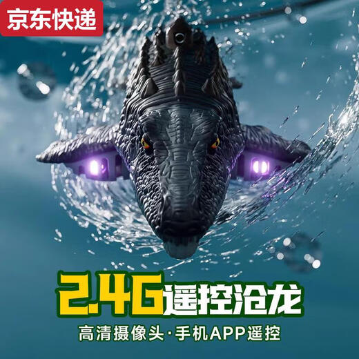 奇立彩儿童男孩遥控小船玩具可下水模型沧龙恐龙潜水艇水上快艇电动鲨鱼 摄像款遥控沧龙-6k摄像版喷水+仿 模块锂电*2续航60分钟+送遥控电
