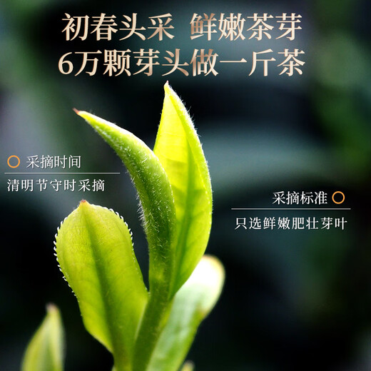 A cup of fragrant tea black tea Wuyishan Jinjunmei first-class 250g gift box 2025 new tea drink yourself gift Xiaozhong Zhengshan