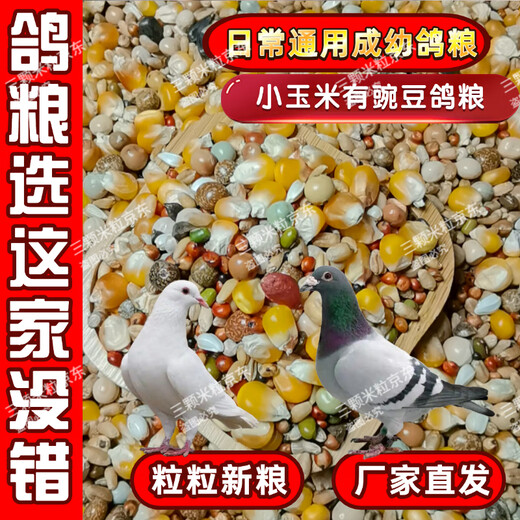 New pigeon food 20 Jin Jin is equal to 0.5 kg. Corn-free pigeon food has corn. Pigeon feed racing nutrition. Pigeon food for adult and young pigeons. 5 Jin Jin is equal to 0.5 kg. Pigeon food with corn and peas. 10 Jin Jin is equal to 0.5 kg.