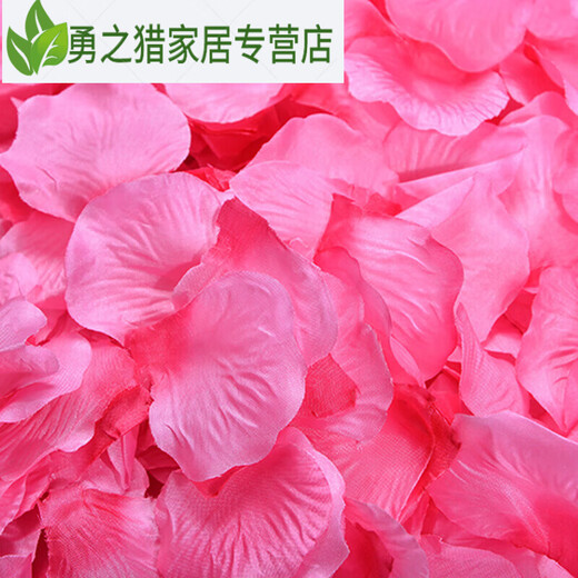 1000 pieces of non-woven fabric simulated rose petals, romantic petals, birthday decoration, proposal, wedding, Valentine's Day confession, milky white, 1000 pieces