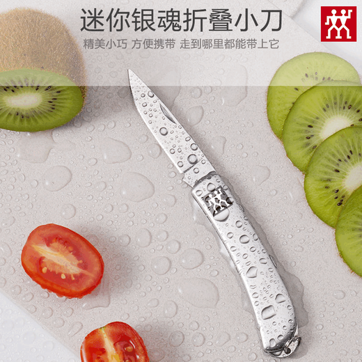 双立人（ZWILLING）德国不锈钢可折叠水果刀削皮刀家用便携式随身露营小刀 不锈钢水果刀 1把